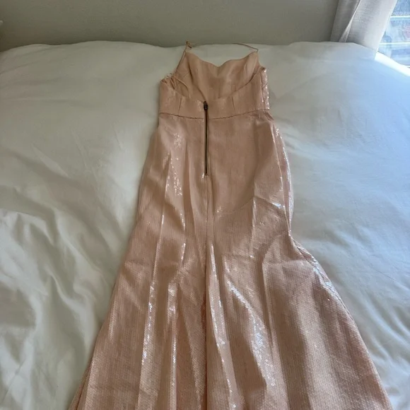 Alex Perry Gold Maxi Dress - Picture 8 of 11